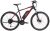 FISCHER Fahrrad E-Bike »MONTIS EM 1726 557«, 10 Gang, Kettenschaltung, Heckmotor, (mit Akku-Ladegerät, mit Werkzeug)