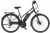 FISCHER Fahrrad E-Bike »VIATOR ETD 2222 422«, 24 Gang, Shimano, Altus, Heckmotor 250 W, (mit Akku-Ladegerät-mit Werkzeug)