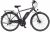 FISCHER Fahrrad E-Bike »VIATOR ETH 2222 557«, 24 Gang Shimano Altus Schaltwerk, Kettenschaltung, Heckmotor 250 W, (mit Akku-Ladegerät, mit Werkzeug)
