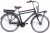 LLobe E-Bike »Rosendaal Gent 130864«, 3 Gang, Frontmotor 250 W, Gepäckträger vorne