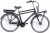 LLobe E-Bike »Rosendaal Gent 130864«, 3 Gang, Nabenschaltung, Frontmotor 250 W, Gepäckträger vorne