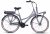 LLobe E-Bike »Rosendaal Lady 10,4 Ah«, 3 Gang, Frontmotor 250 W, Gepäckträger vorne