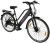 Maxtron E-Bike »MT 12«, 8 Gang Shimano, Kettenschaltung, Heckmotor 250 W