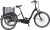 Prophete E-Bike »CARGO 3R 20.ESL.10«, 3 Gang Shimano Nexus Schaltwerk, Nabenschaltung, Frontmotor 250 W