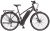 Prophete E-Bike »Entdecker eSport«, 10 Gang Shimano Deore Schaltwerk, Kettenschaltung, Mittelmotor 250 W