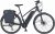 Prophete E-Bike »Entdecker PowerEdition«, 10 Gang Shimano Deore Schaltwerk, Kettenschaltung, Mittelmotor 250 W, (mit Seitentasche)