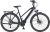 Prophete E-Bike »eSUV 22.ETS.15«, 10 Gang Shimano Deore Xt Schaltwerk, Kettenschaltung, Mittelmotor 250 W