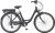 Prophete E-Bike »Prophete Geniesser e6000«, Shimano Altus Schaltwerk, Kettenschaltung, Frontmotor 250 W, ebike Damen