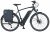 Prophete E-Bike »Prophete PowerEdition Herren«, 10 Gang, Shimano, Deore, Mittelmotor 250 W